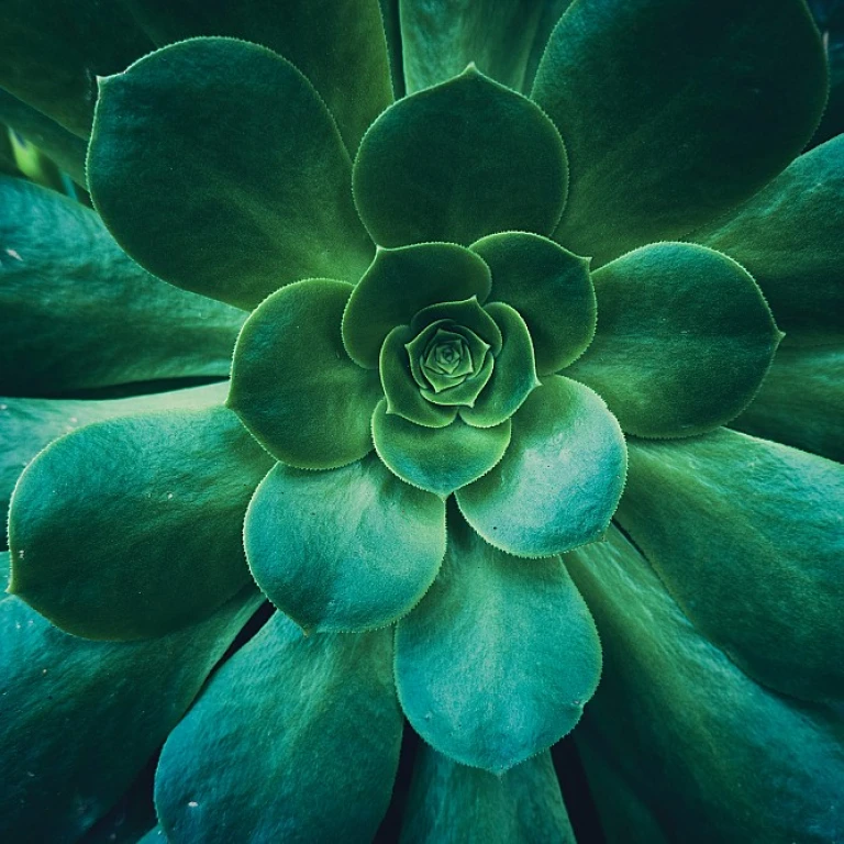 The Artistry of Intricate Pop-Up Books